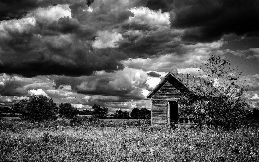 Lonely Shed
