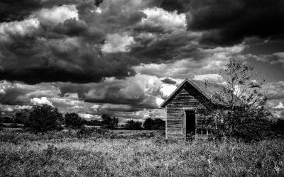 Lonely Shed